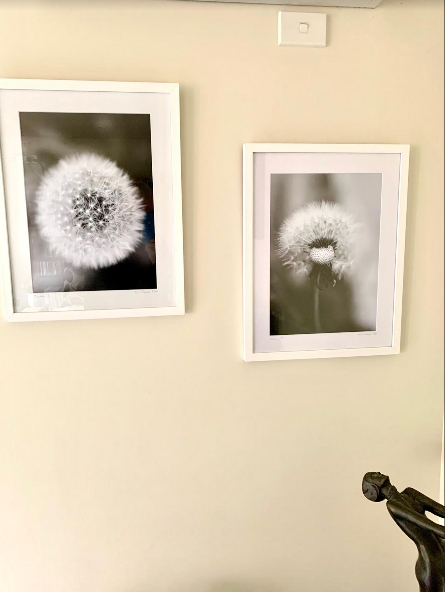 Dandelion 2 - Framed or Unframed Signed Limited Edition From A3 Photographic Art Print