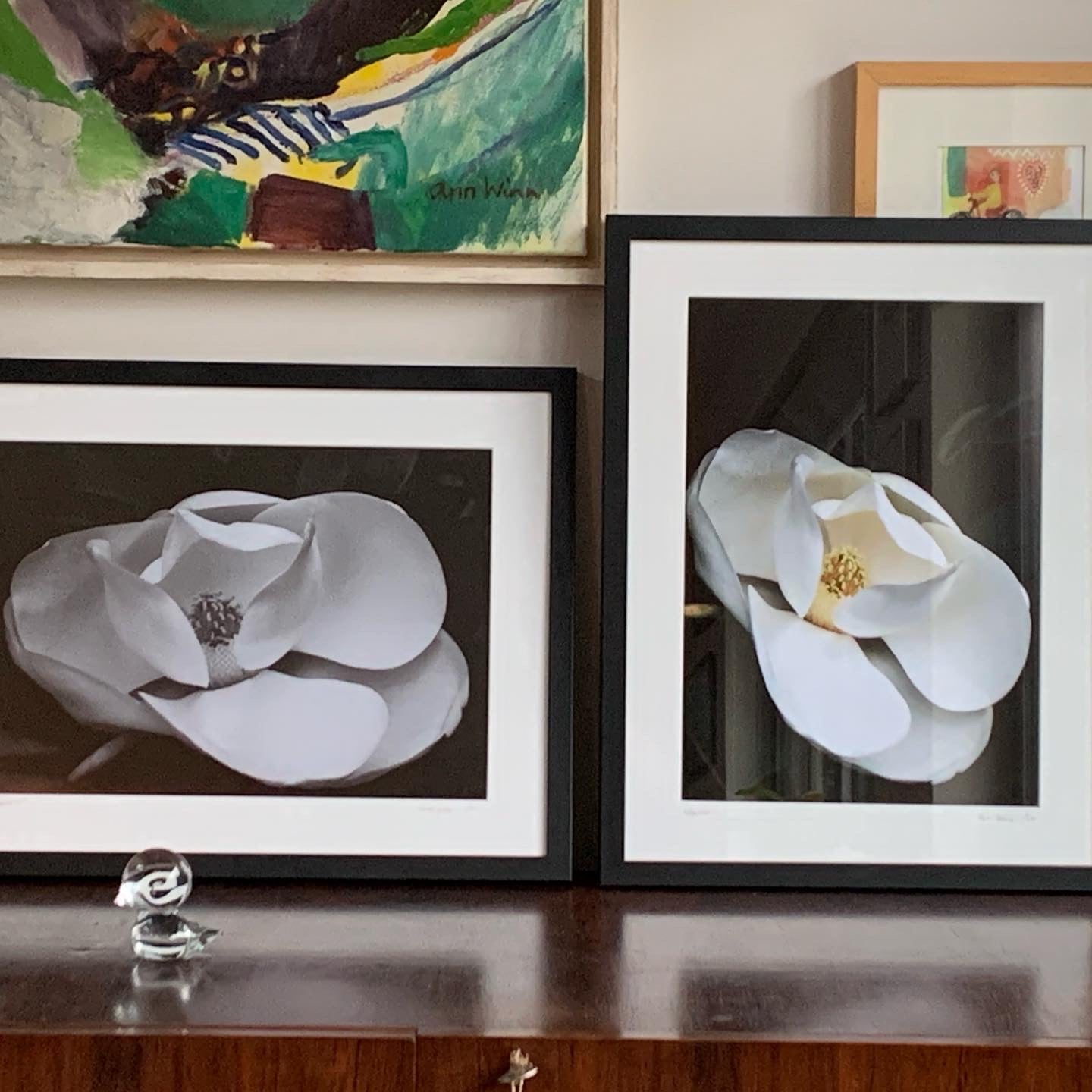 Magnolia 1  - Framed or Unframed Signed Limited Edition From A3 Photographic Art Print