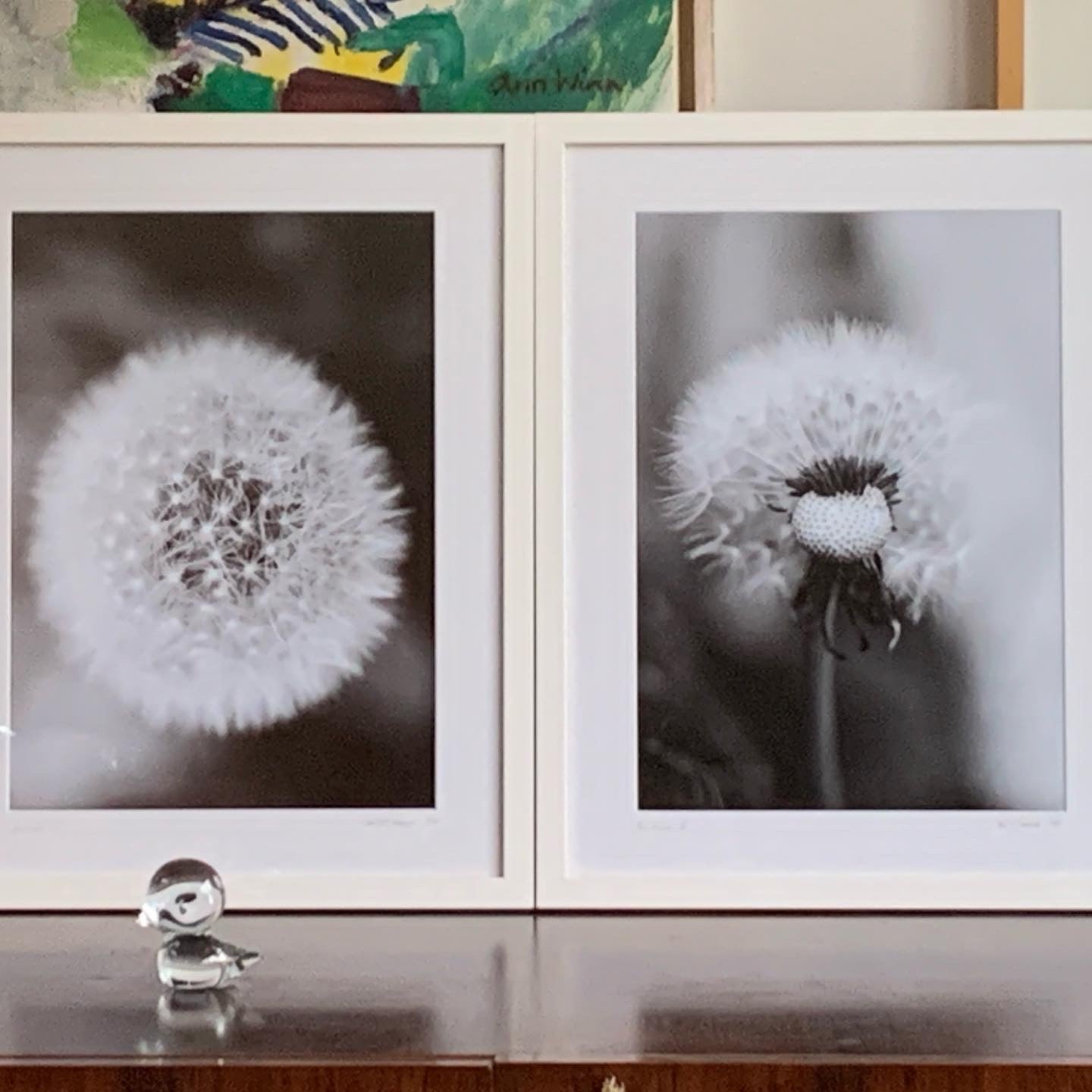 Dandelion 2 - Framed or Unframed Signed Limited Edtion From A3 Photographic Art Print