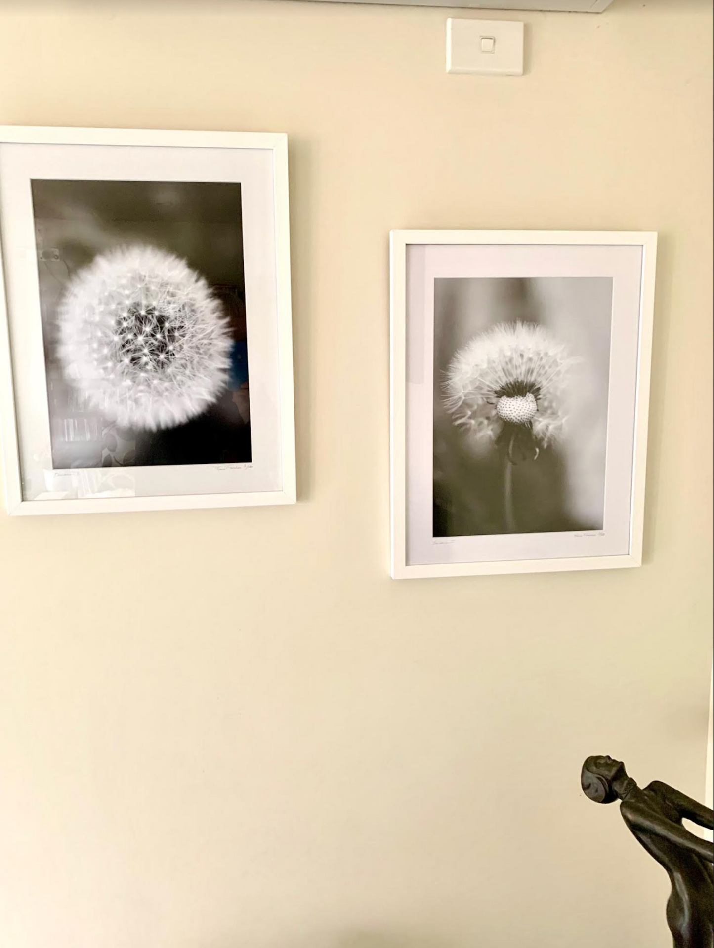 Dandelion 2 - Framed or Unframed Signed Limited Edtion From A3 Photographic Art Print