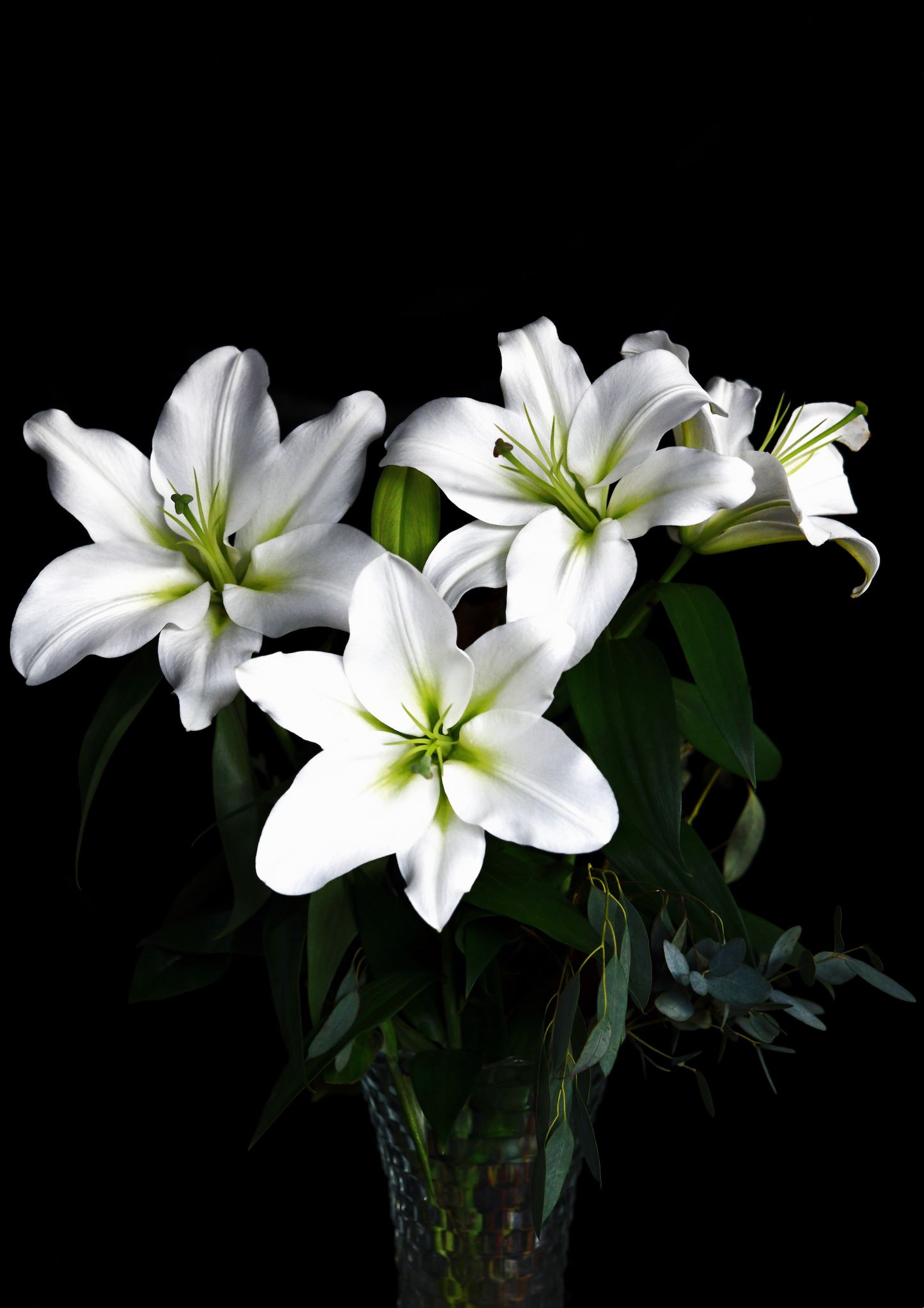 Lillies 1 - Framed or Unframed Signed Limited Edtion From A3 Photographic Art Print